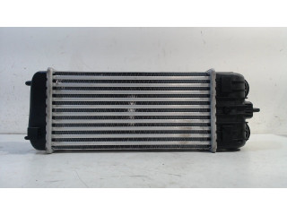 Intercooler radiator Peugeot 207/207+ (WA/WC/WM) (2007 - 2012) Hatchback 1.6 16V VTi (EP6(5FW))